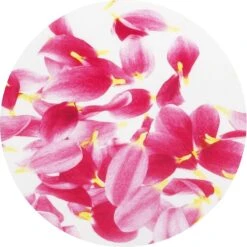 Brabantia Strijkplank B - Met Strijkerhouder - 124x38 Cm - Pink Santini -Brabantia 1200x1198 2